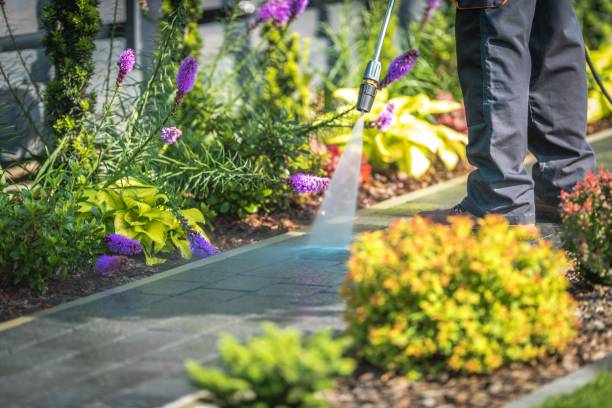 Best Sidewalk and Walkway Pressure Cleaning in Las Quintas Fronterizas, TX