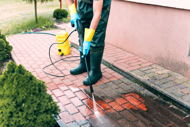 Best Roof Cleaning and Mildew Removal in Las Quintas Fronterizas, TX