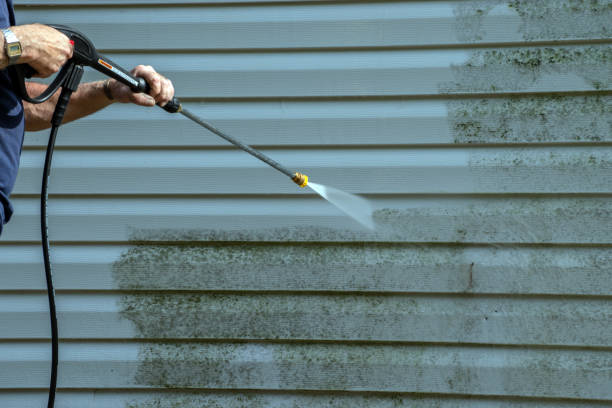 Best Concrete Surface Cleaning in Las Quintas Fronterizas, TX