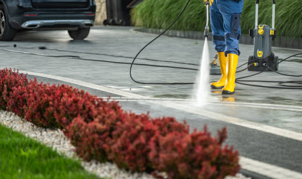 Best Brick and Stone Cleaning in Las Quintas Fronterizas, TX
